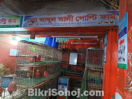 পল্টি মুরগী দোকান রানিং ভাড়া দেওয়া হবে